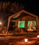 Sahara tent setup for a night safari