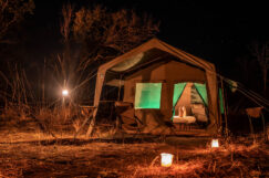 Sahara tent setup for a night safari