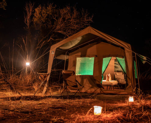 Sahara tent setup for a night safari