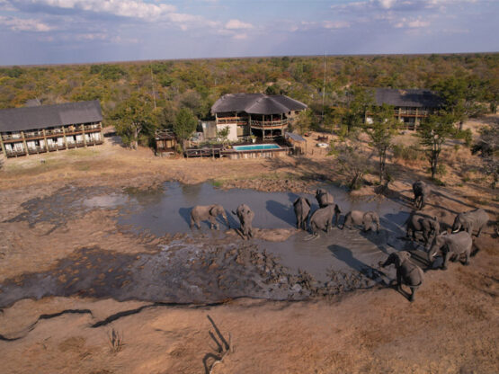 Chobe Mopani Forest Lodge waterhole